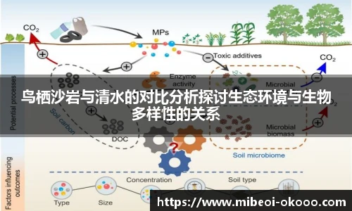 okooo澳客网官网